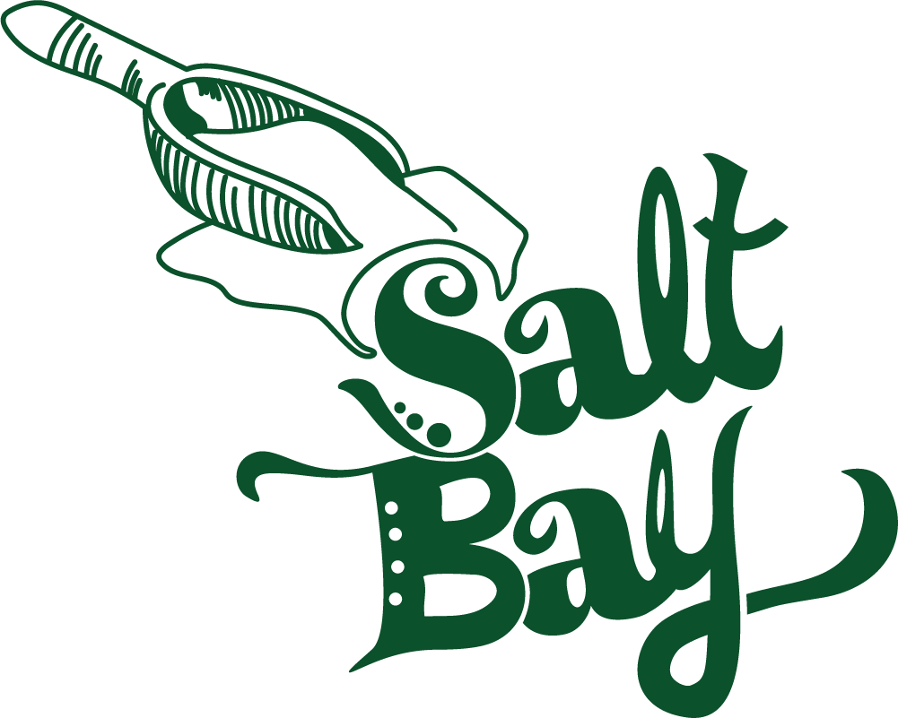 Salt Bay (3)